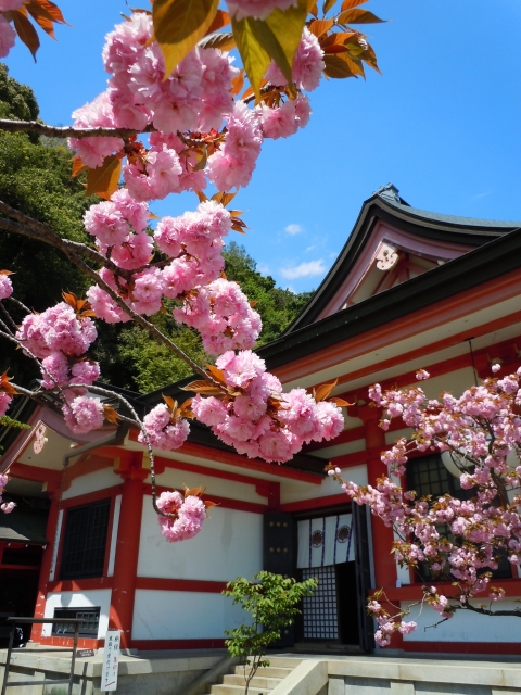 鞍馬寺の概要